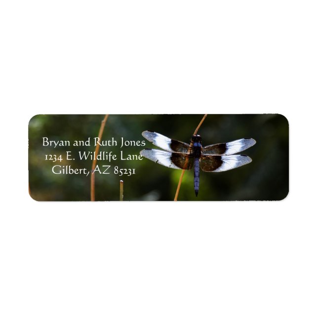 Male Widow Skimmer Returadress Etikett (Framsidan)