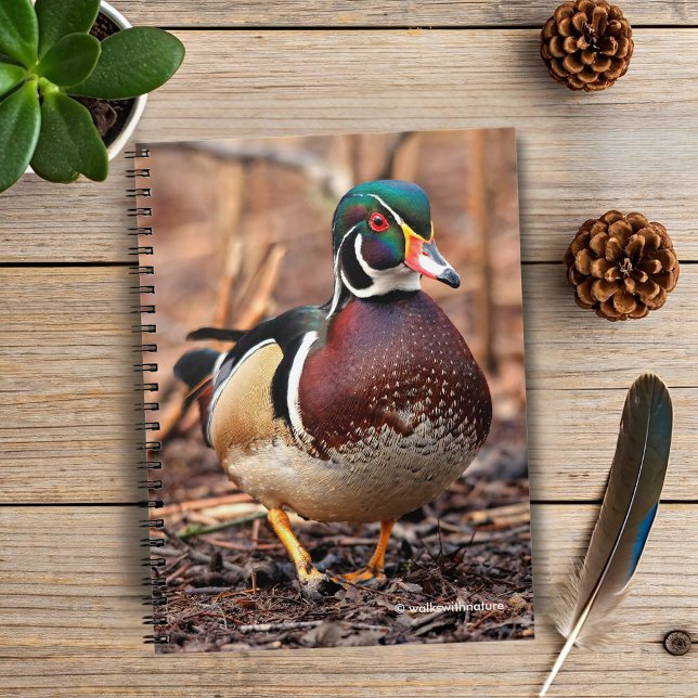 Male Wood Anka i Skogen Anteckningsbok Med Spiral (Wood Duck in the Woods Journal Cover Photo)