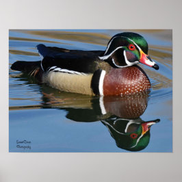 Male Wood Anka Reflection Dekorativ kudde Mouse Pa Poster
