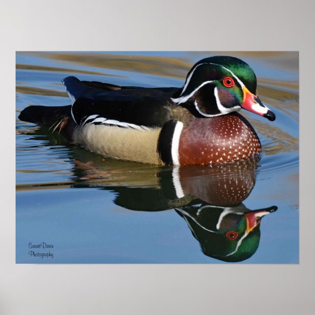 Male Wood Anka Reflection Dekorativ kudde Mouse Pa Poster (Framsidan)
