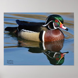 Male Wood Anka Reflection Dekorativ kudde Mouse Pa Poster