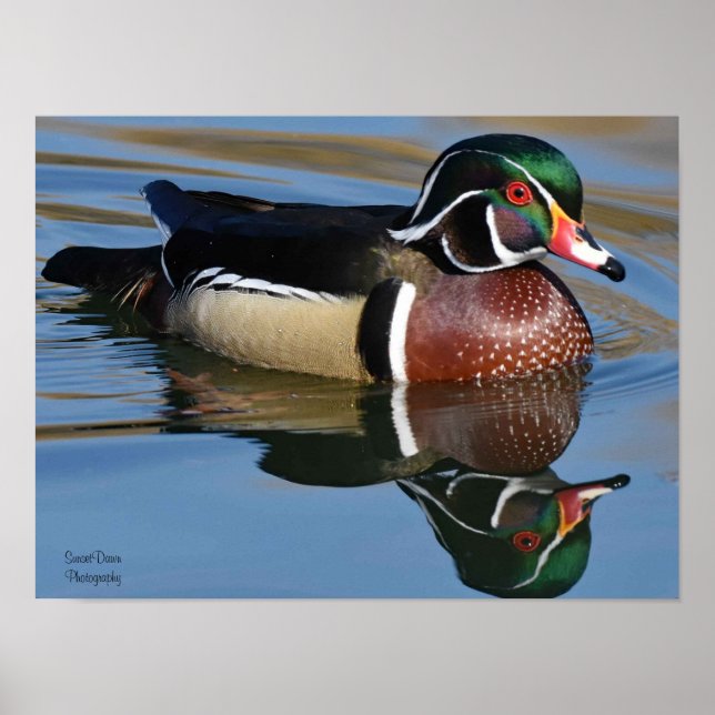Male Wood Anka Reflection Dekorativ kudde Mouse Pa Poster (Framsidan)