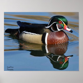 Male Wood Anka Reflection Dekorativ kudde Mouse Pa Poster