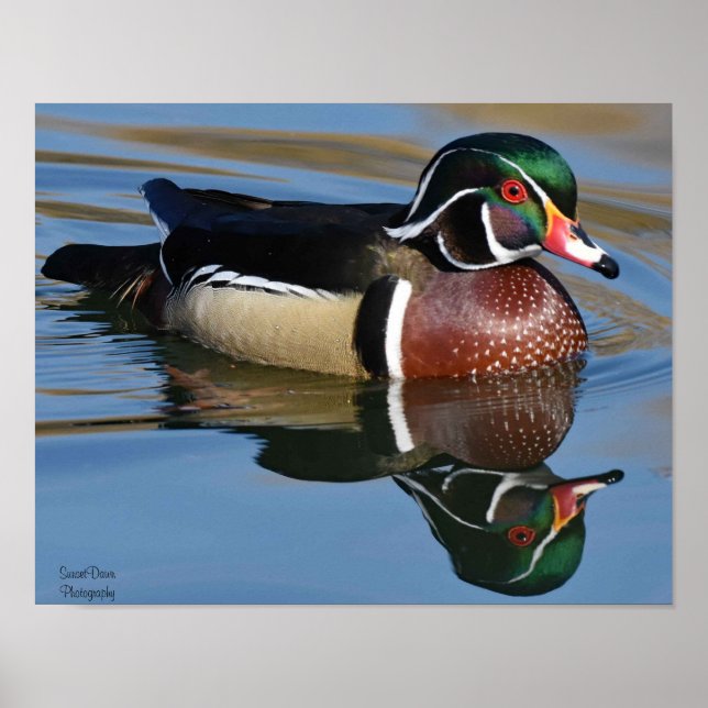 Male Wood Anka Reflection Dekorativ kudde Mouse Pa Poster (Framsidan)