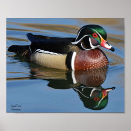 Male Wood Anka Reflection Dekorativ kudde Mouse Pa Poster