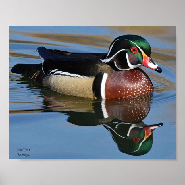 Male Wood Anka Reflection Dekorativ kudde Mouse Pa Poster (Framsidan)