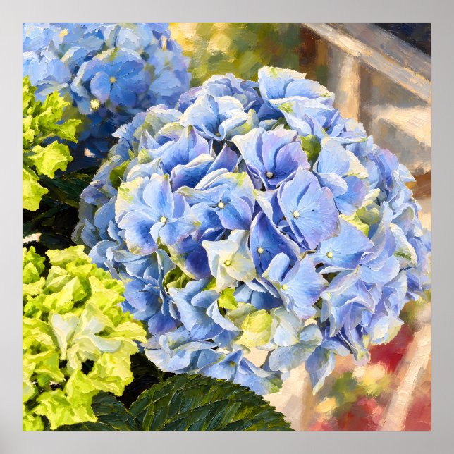 Målerisk botanisk studie av hydrangea i pudrat blå poster (Framsidan)