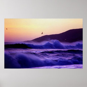 Malibu Beach Poster