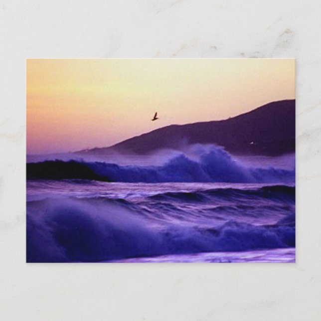 Malibu Beach Vykort (Framsida)