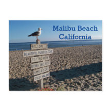 Malibu Beach Vykort- Paradise Cove Måsign