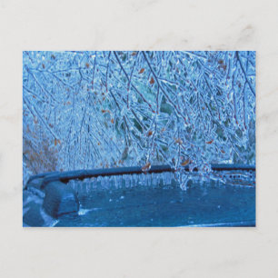 Malibu Icicles Vykort