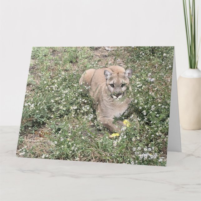 Malice är ett vackert kort (Framsida)