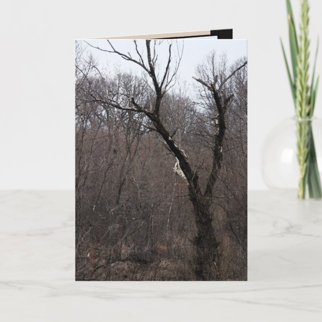 Malificent träd kort (Framsida)