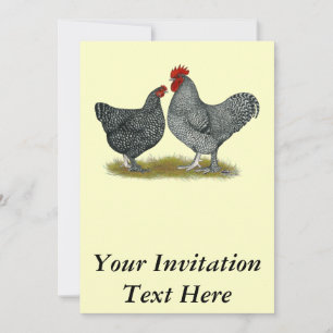 Maline Chickens Inbjudningar