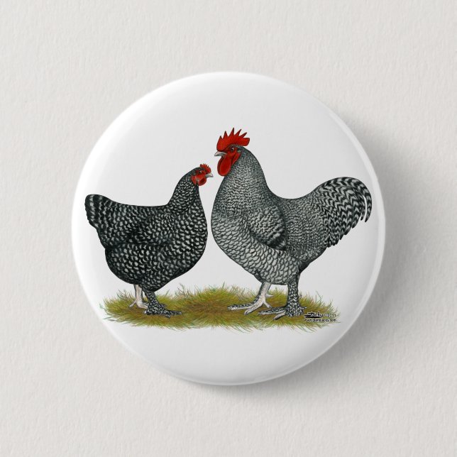 Maline Chickens Knapp (Framsida)