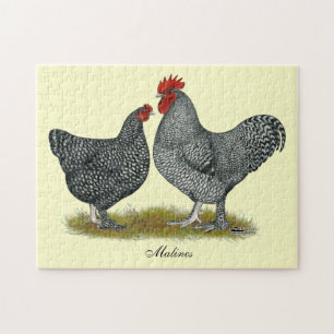 Maline Chickens Pussel