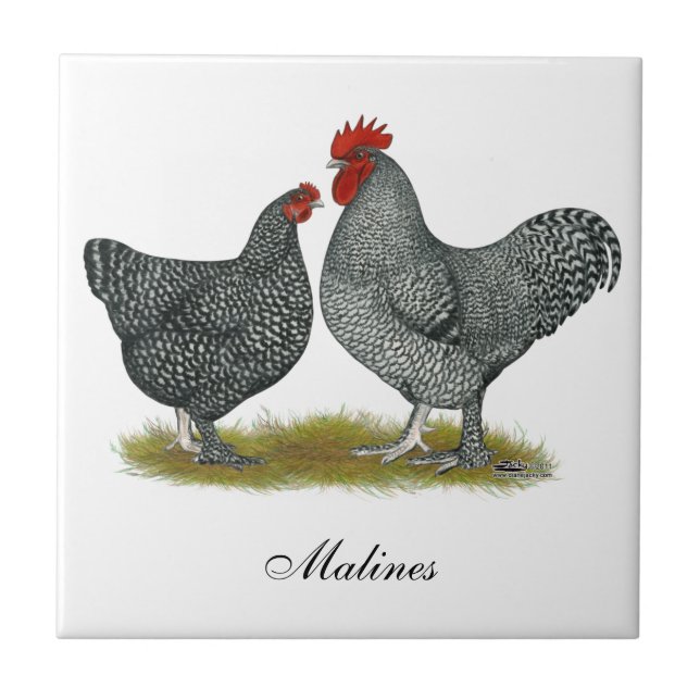 Maline hönor kakelplatta (Framsidan)