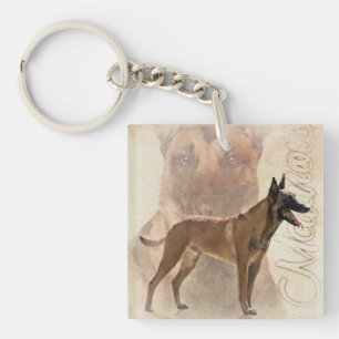 Malinois - belgisk herde - Mechelaar