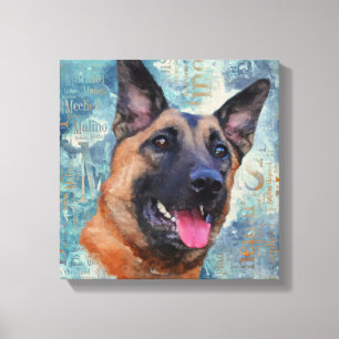 Malinois - belgisk herde - Mechelaar Canvastryck