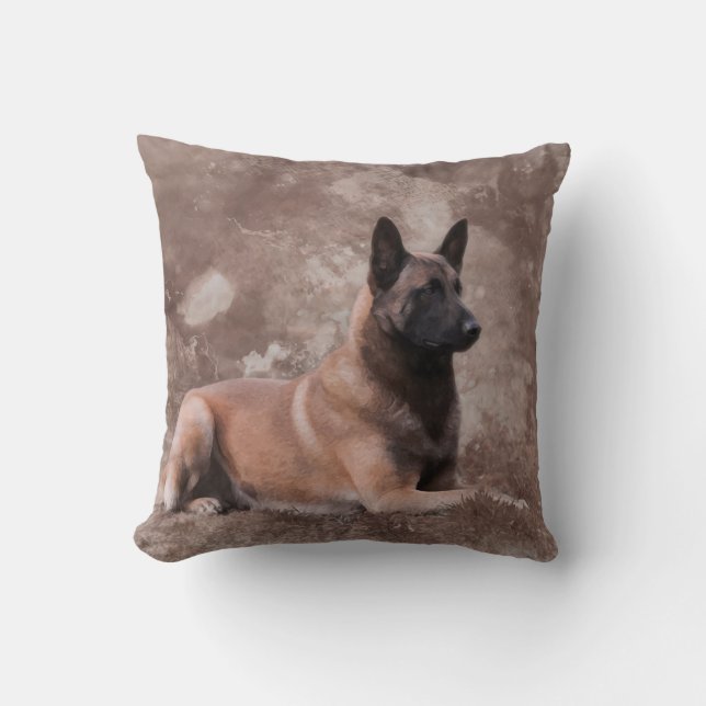 Malinois belgisk herde - Mechelaar Kudde (Framsida)