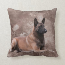 Malinois belgisk herde - Mechelaar