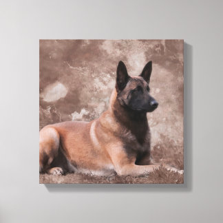 Malinois belgisk shepherd - Mechelaar Canvastryck