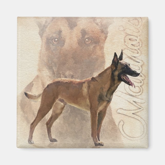 Malinois - belgisk shepherd - Mechelaar Magnet (Framsidan)