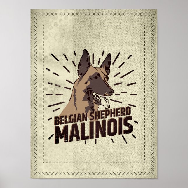 Malinois - belgisk shepherd -Mechelaar -Maligator Poster (Framsidan)