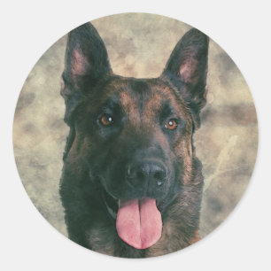Malinois - belgisk shepherd -Mechelaar -Maligator Runt Klistermärke