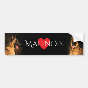 Malinois bildekal