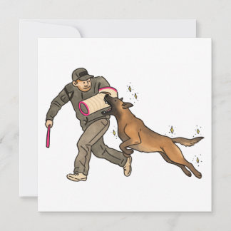 Malinois bitarbete