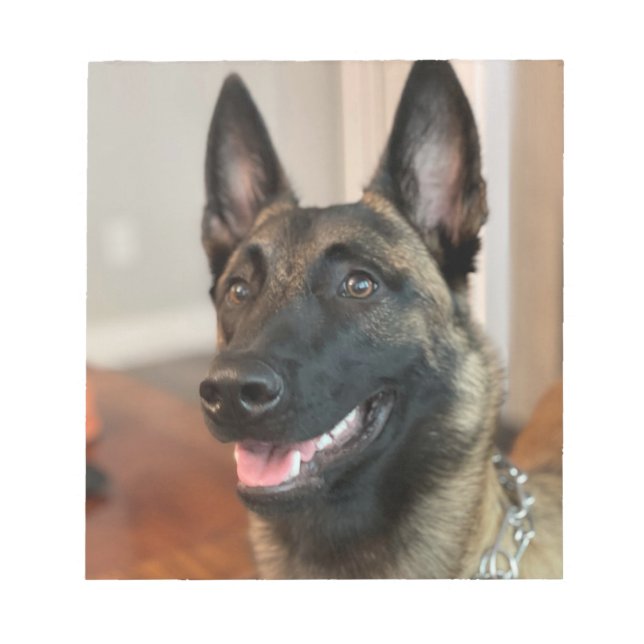 Malinois Hund Anteckningsblock (Framsida)