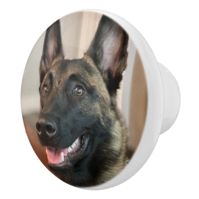 Malinois Hund Knopp (Höger)