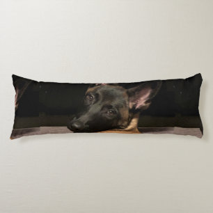 Malinois Hund Kroppskudde