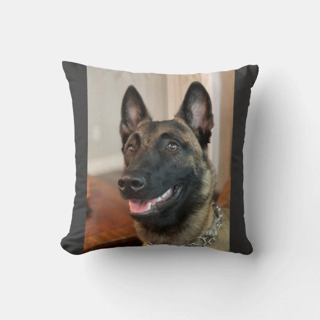 Malinois Hund Kudde (Framsida)