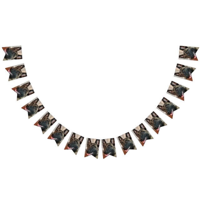 Malinois Hund Vimplar (Alla)