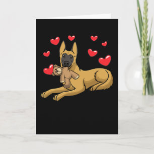 Malinois Hund With Mjukisdjur belgisk shepherd Kort