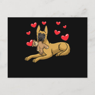 Malinois Hund With Mjukisdjur belgisk shepherd Vykort