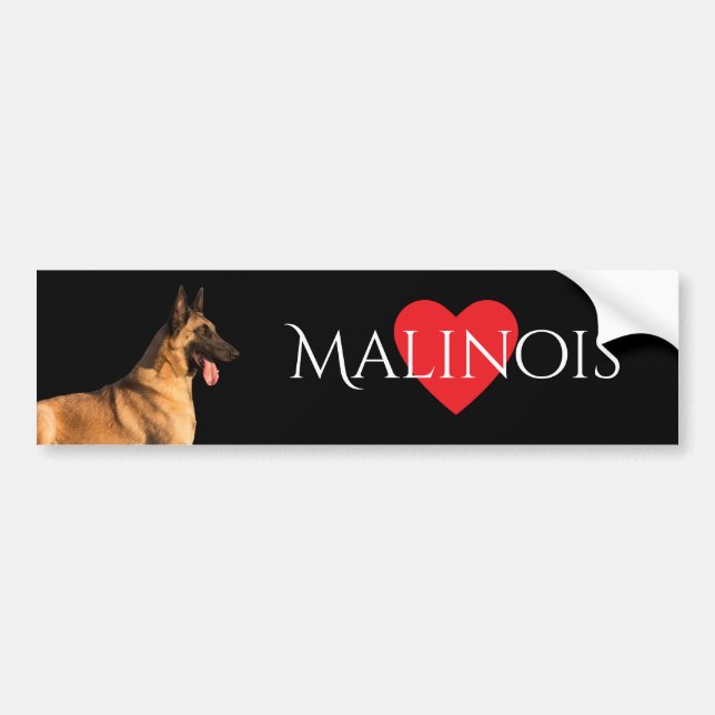 Malinois hundbildekal bildekal (Framsidan)