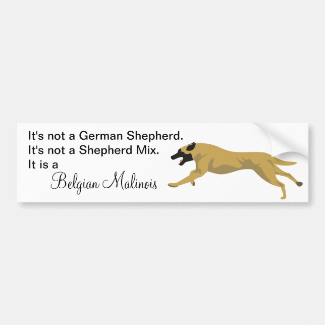 Malinois INTE Tysk Shepherd Bildekal (Framsidan)
