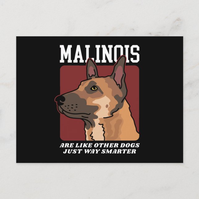 Malinois Is Smarter Belgium Malinois Vykort (Framsida)