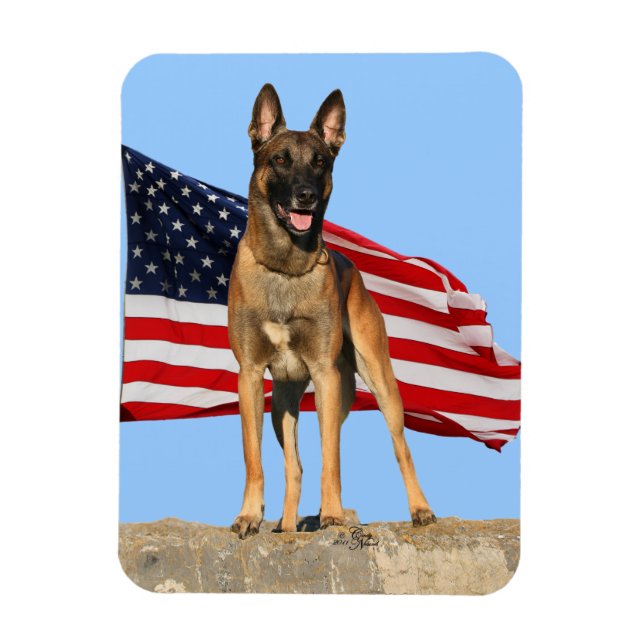 Malinois och Flagga, flexibel magnet (Vertikal)