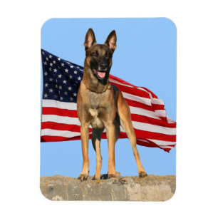 Malinois och för flagga böjlig magnet