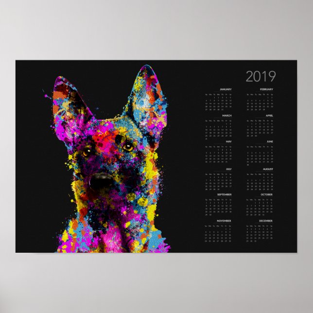 Malinois puppy-belgisk shepherd - Kalender 2019 Poster (Framsidan)