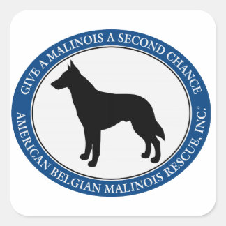 Malinois-Räddingens Logotyp, Fyrkantstreck Fyrkantigt Klistermärke