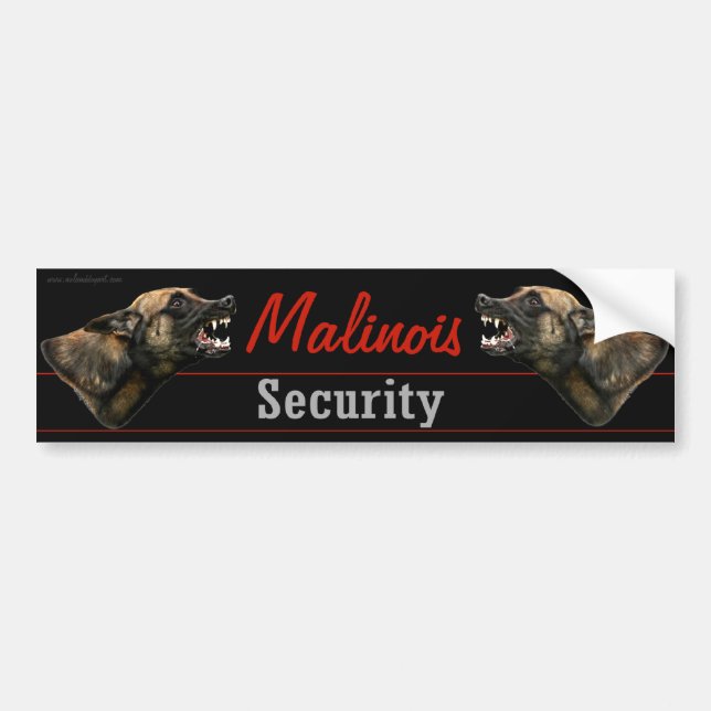 Malinois säkerhetsbildekal bildekal (Framsidan)