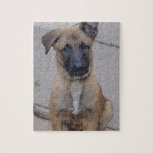 malinoisvalp sitting.png pussel