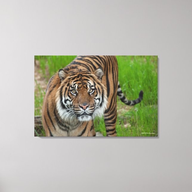 mall canvastryck (Framsida)