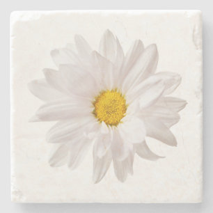 Mall för Daisy för vit Daisy, blomma Blommigt Underlägg Sten