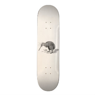Mall för fåglar för vintageKiwifågel antik Skateboard Bräda 20 Cm